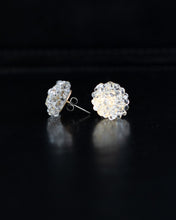 Load image into Gallery viewer, Lush pierce back pin type